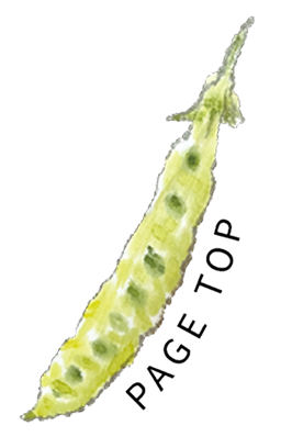page topボタン